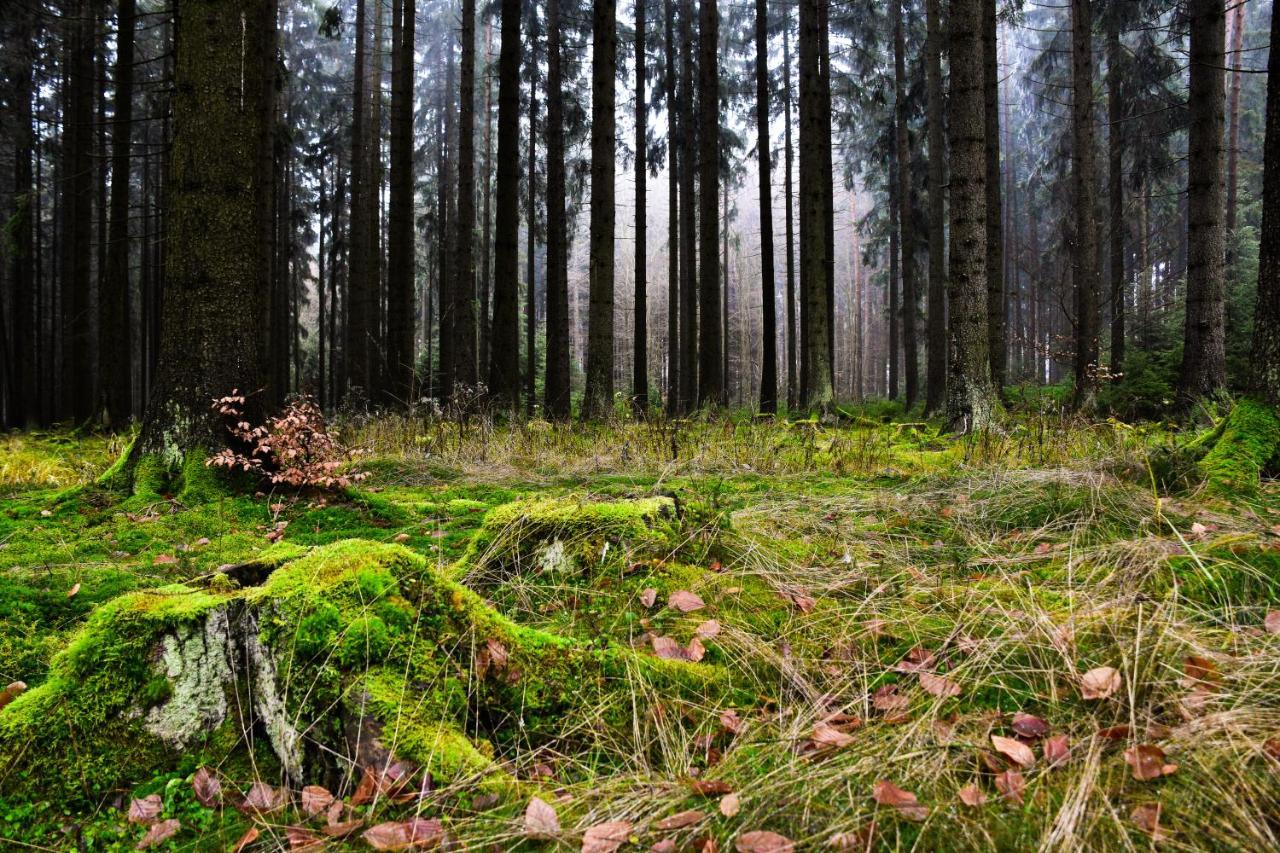 Hostinec A Penzion U Rezku Jistebnice エクステリア 写真