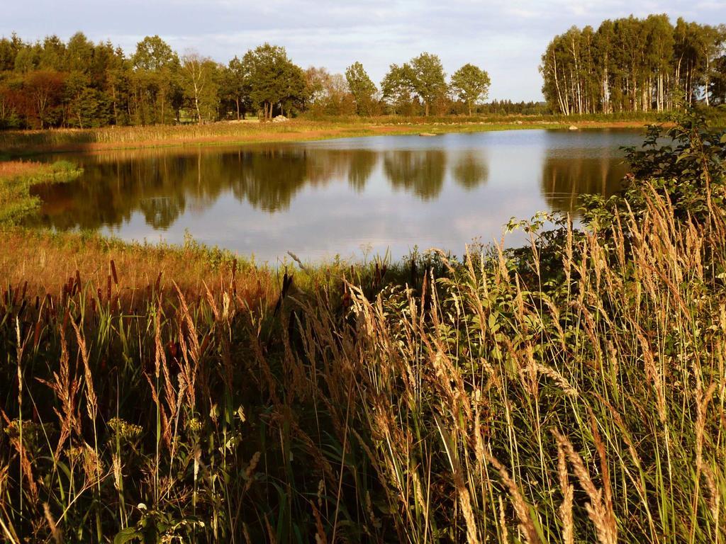 Hostinec A Penzion U Rezku Jistebnice エクステリア 写真